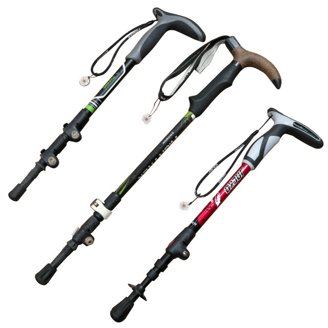 ストックレンタル 屋久島