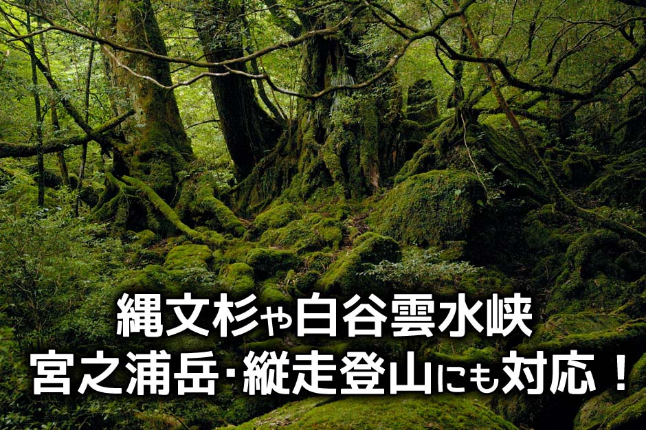 屋久島の縄文杉や白谷雲水峡、宮之浦岳や縦走登山にも対応！